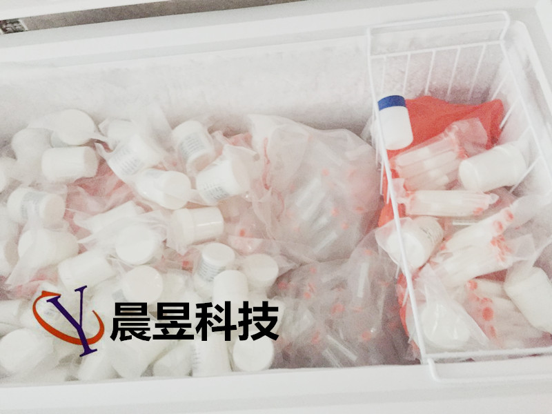 十五